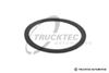 Фото Уплотнительное кольцо, гидравлический фильтр 0215020 Trucktec