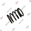 Фото Пружина КПП 12JS160T1703027 Shaft-Gear