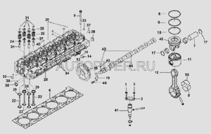 Сальник клапанов КАММИНЗ 6CT 6L ISLE, [3943888] 3943888 Cummins