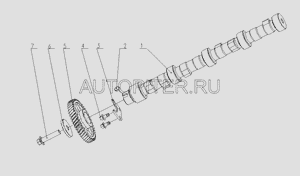 Шестерня распредвала YC4F90-30 YUCHAI Оригинал f30001006002b Yuchai