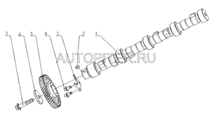 Шестерня распредвала YC4F90-30 YUCHAI Оригинал f30001006002b Yuchai