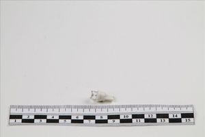 Светодиод T10-01 (1LED) W5W Base:BW2,1 х9,5D 900288 Nord YADA