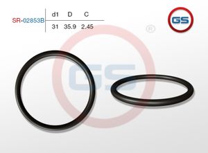 Резиновое кольцо 31 2.45 sr02853b GS