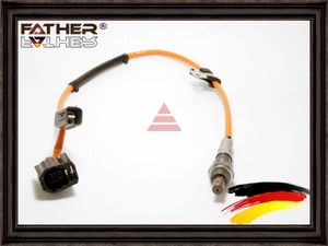 ЛЯМБДА-ЗОНД С ФИШКОЙ F154R15 Father