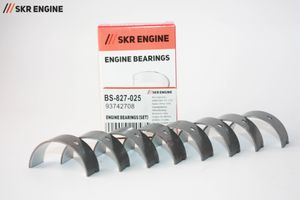 Деталь BS827025 SKR Engine