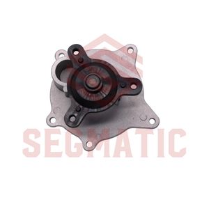 Помпа CHRYSLER TOWN&COUNTRY 3.3 SGWP6080 Segmatic