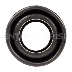 Пневмобаллон MAN, MB, RVI, IVECO, МАЗ-643021 E5508840 Enterprise