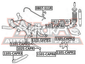 Сайлентблок тяги для Chevrolet Captiva (C100) 2006-2010 1101CAPR6 Asva