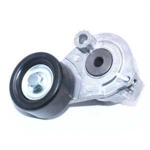 Ролик ремня вспомогательного натяжной с натяжителем 55563512 General Motors