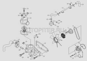 Ремень вентилятора ФОТОН 1049С, 1039С (17Х1045)