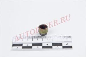 Уплотнительное кольцо, стержень кла 70-31306-00 Reinz