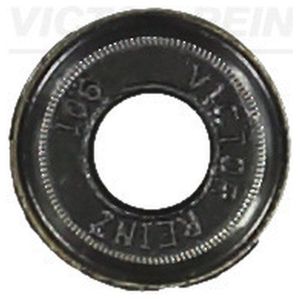 Уплотнительное кольцо, стержень кла 70-31306-00 Reinz