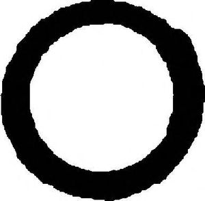 Прокладка, труба выхлопного газа 71-52924-00 Reinz