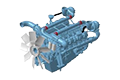 DP222LCS DP222LCS