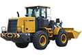 LW300F LW300F
