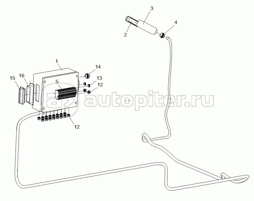 WIRE HARNESS OF JUNCTION BOX (3) D00663116300230001Y